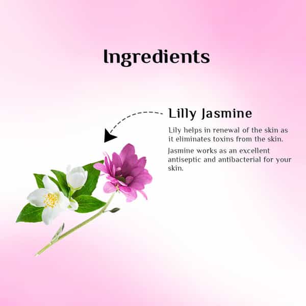 Richfeel Lily & Jasmine Bleach Kit 320 G