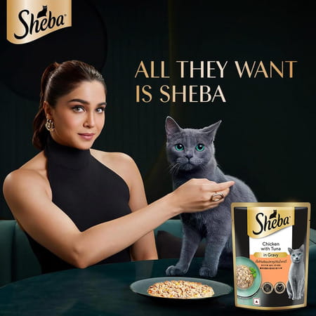 Sheba Fine Premium Adult (1+ Years) Wet Cat Food | Chicken With Tuna In Gravy | 70 G (Pack Of 28)