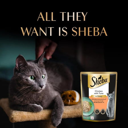 Sheba Fine Premium Adult (1+ Years) Wet Cat Food | Chicken With Tuna In Gravy | 70 G (Pack Of 28)