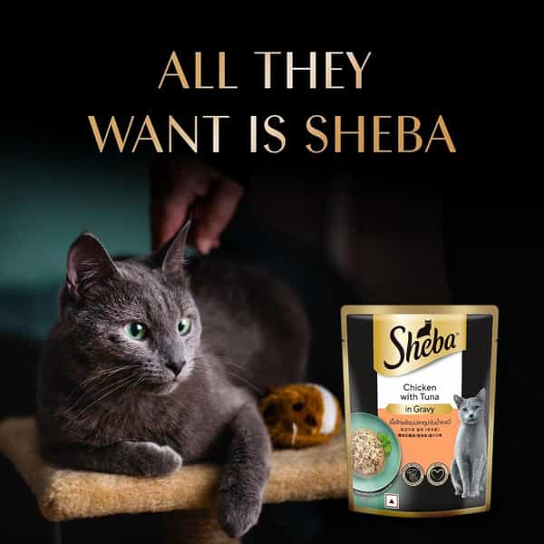 Sheba Fine Premium Adult (1+ Years) Wet Cat Food | Chicken With Tuna In Gravy | 70 G (Pack Of 28)