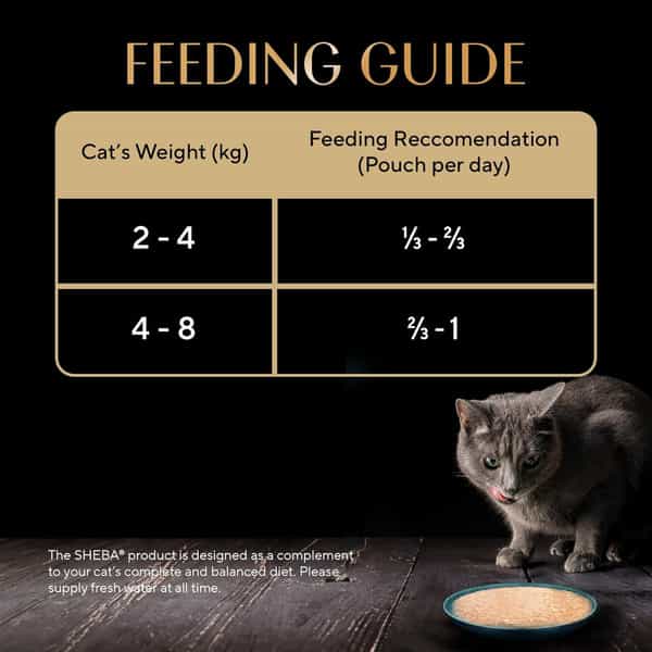 Sheba Fine Premium Adult (1+ Years) Wet Cat Food | Chicken With Tuna In Gravy | 70 G (Pack Of 28)