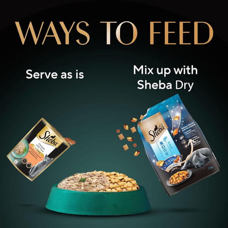 Sheba Fine Premium Adult (1+ Years) Wet Cat Food | Chicken With Tuna In Gravy | 70 G (Pack Of 28)