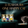 Sheba Fine Premium Adult (1+ Years) Wet Cat Food | Chicken With Tuna In Gravy | 70 G (Pack Of 28)