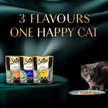Sheba Fine Premium Adult (1+ Years) Wet Cat Food | Chicken With Tuna In Gravy | 70 G (Pack Of 28)