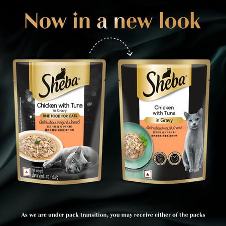 Sheba Fine Premium Adult (1+ Years) Wet Cat Food | Chicken With Tuna In Gravy | 70 G (Pack Of 28)