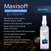 Maxisoft Sanitizer Spray | Blueberry | 120 Ml | Pack Of 12