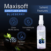 Maxisoft Sanitizer Spray | Blueberry | 120 Ml | Pack Of 12