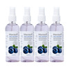 Maxisoft Sanitizer Spray | Blueberry | 120 Ml | Pack Of 12