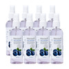 Maxisoft Sanitizer Spray | Blueberry | 120 Ml | Pack Of 12
