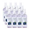 Maxisoft Sanitizer Spray | Blueberry | 120 Ml | Pack Of 12