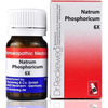 Dr. Reckeweg Trum Phosphoricum