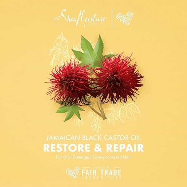 Shea Moisture Jamaican Black Castor Oil Strengthen And Restore Treatment Masque | 340 G