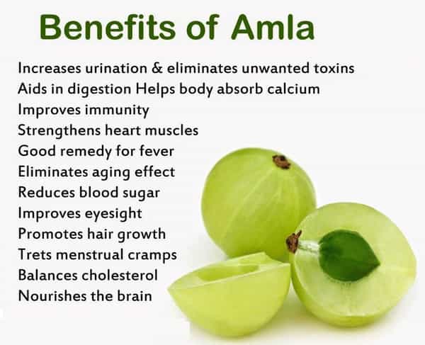Way2herbal Organic Amla Powder - Indian Gooseberry - 200 Gms For Hair & Skin Care