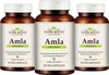 Vedikroots Amla 450 Mg 60 Capsules 100% Organic | Antioxidant Immunity Enhancer (Pack Of 3