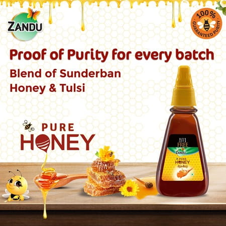 Zandu Pure Honey Squeasy - 225g (1+1)