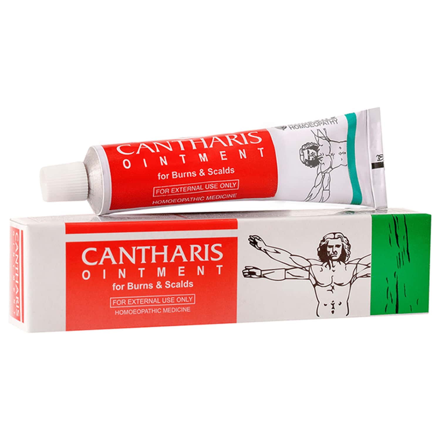 Baksons Homoeopathy Cantharis Ointment 25 Gm