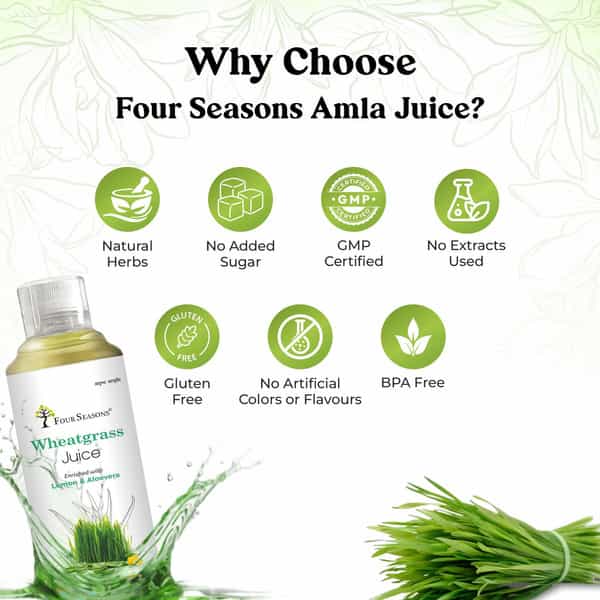 Four Seasons Wheatgrass Juice 500Ml | Superfood For Live Detox | Weight & Cholesterol Management