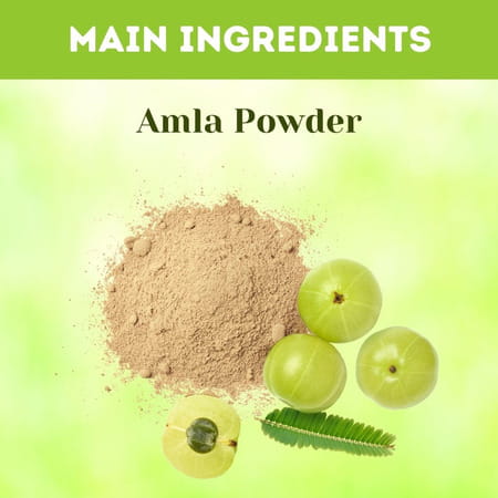 Ved Tattva Amla Powder - 1 Kg (Pack Of 5)