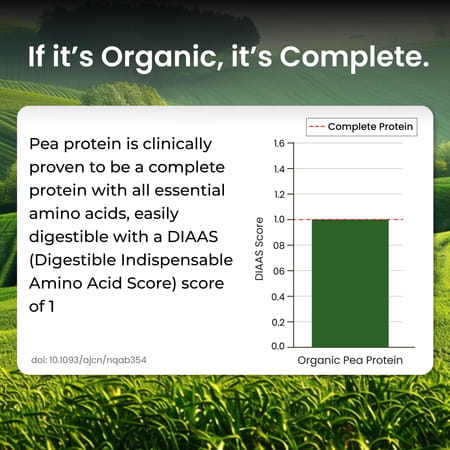 Vlado'S Himalayan Organics Organic Protein Powder I Plant Protein I 28g Protein | 5g Bcaa - 500g