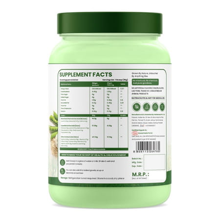 Vlado'S Himalayan Organics Organic Protein Powder I Plant Protein I 28g Protein | 5g Bcaa - 500g