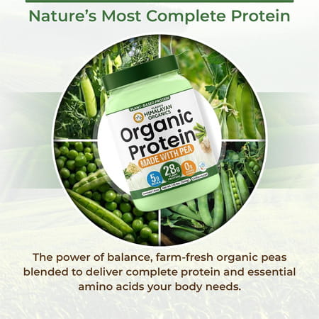 Vlado'S Himalayan Organics Organic Protein Powder I Plant Protein I 28g Protein | 5g Bcaa - 500g