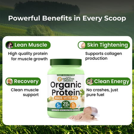 Vlado'S Himalayan Organics Organic Protein Powder I Plant Protein I 28g Protein | 5g Bcaa - 500g