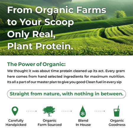 Vlado'S Himalayan Organics Organic Protein Powder I Plant Protein I 28g Protein | 5g Bcaa - 500g