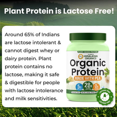 Vlado'S Himalayan Organics Organic Protein Powder I Plant Protein I 28g Protein | 5g Bcaa - 500g