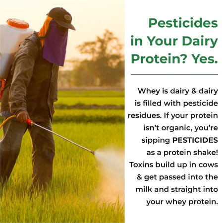 Vlado'S Himalayan Organics Organic Protein Powder I Plant Protein I 28g Protein | 5g Bcaa - 500g