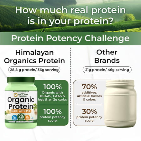 Vlado'S Himalayan Organics Organic Protein Powder I Plant Protein I 28g Protein | 5g Bcaa - 500g