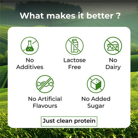 Vlado'S Himalayan Organics Organic Protein Powder I Plant Protein I 28g Protein | 5g Bcaa - 500g