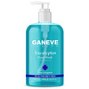 Ganeve London Eucalyplus Handwash With Moisturizer Clean & Hygienic 500 Ml. Pack Of 1