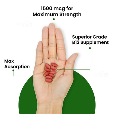 Vlado's Himalayan Organics Vitamin B12 1500 Mcg Methylcobalamin Supplement - 60 Veg Tablets