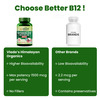 Vlado's Himalayan Organics Vitamin B12 1500 Mcg Methylcobalamin Supplement - 60 Veg Tablets