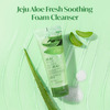 The Face Shop Jeju Aloe Fresh Soothing Cleansing Foam