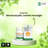 Dr. Willmar Schwabe India Magnesium Phos Pentarkan 20 Gm