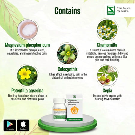 Dr. Willmar Schwabe India Magnesium Phos Pentarkan 20 Gm