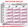 Royal Canin Renal With Chicken | 85 G (12 Pieces)