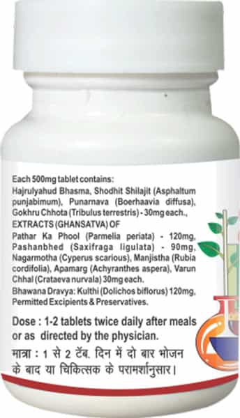 Baidyanath Asli Ayurved Patharina 50 Tablet (Pack Of 3)