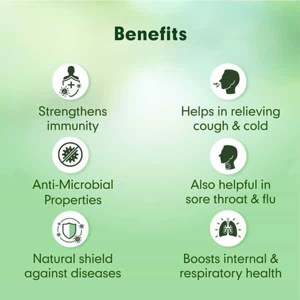 Dr. Junejas Tulsi Mantra - 25Ml