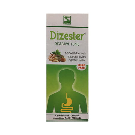 Dr. Willmar Schwabe India Dizester 100 Ml