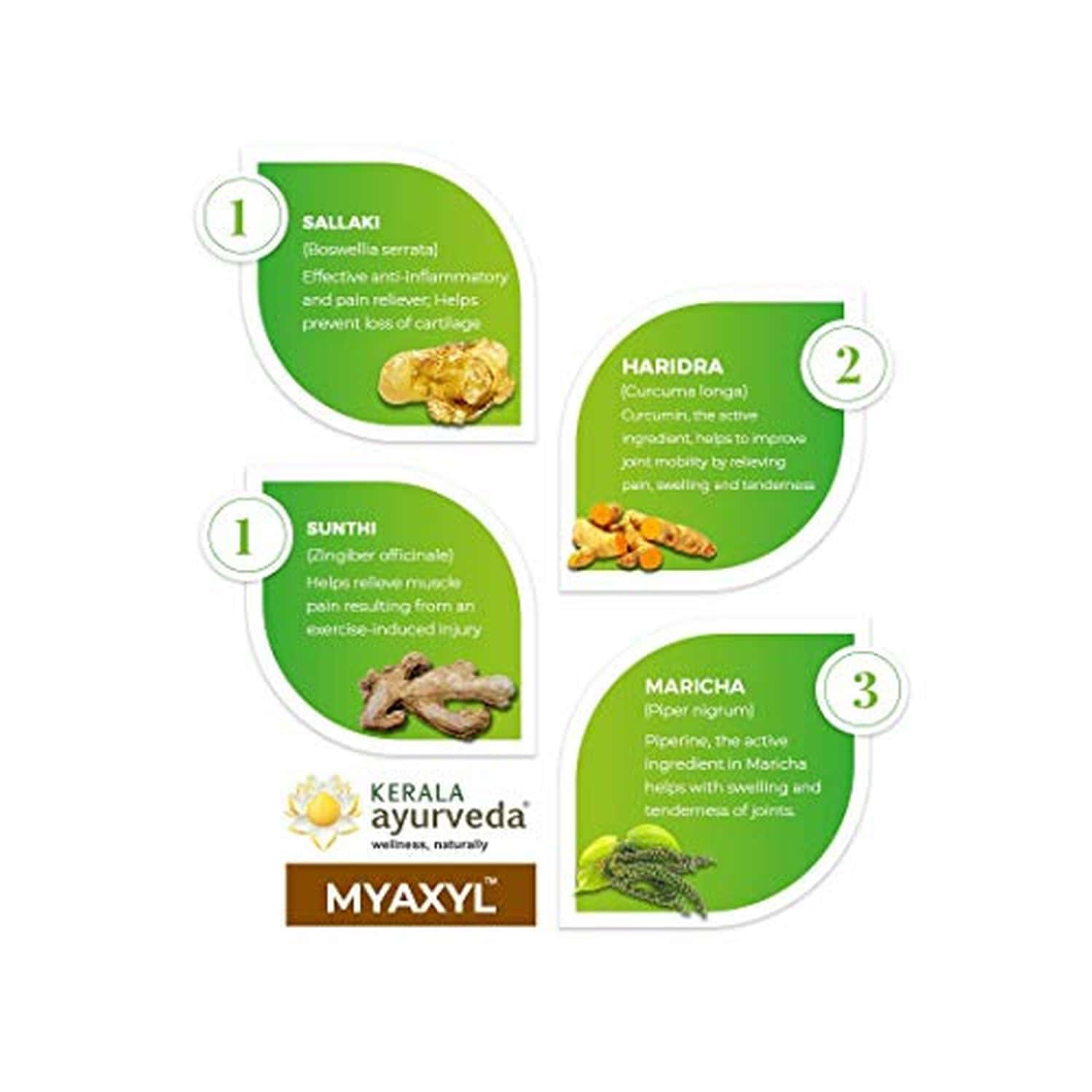 Buy KERALA AYURVEDA MYAXYL 100 CAPSULES Online & Get Upto 60 OFF at