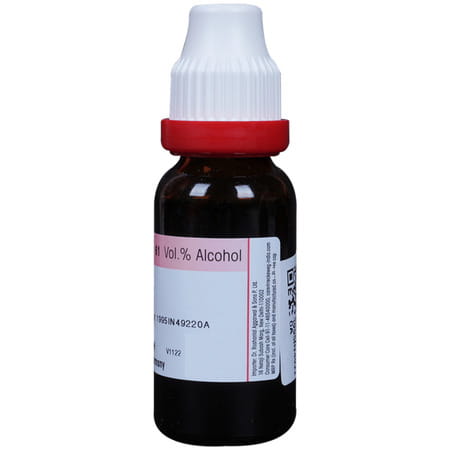 Dr. Reckeweg Bacopa Monnieri (Brahmi) Mother Tincture Q 20 Ml