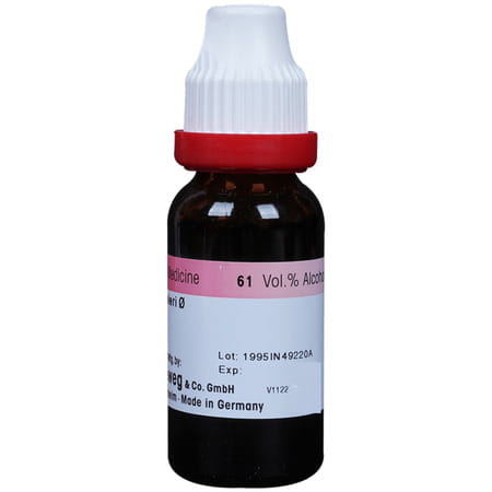 Dr. Reckeweg Bacopa Monnieri (Brahmi) Mother Tincture Q 20 Ml
