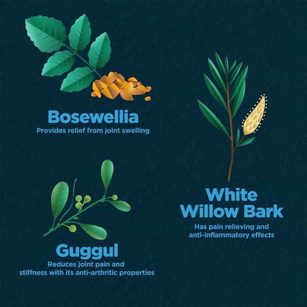 Foresta Organics Joint Health With Boswellia White Willow Bark & Guggul - 60 Capsules