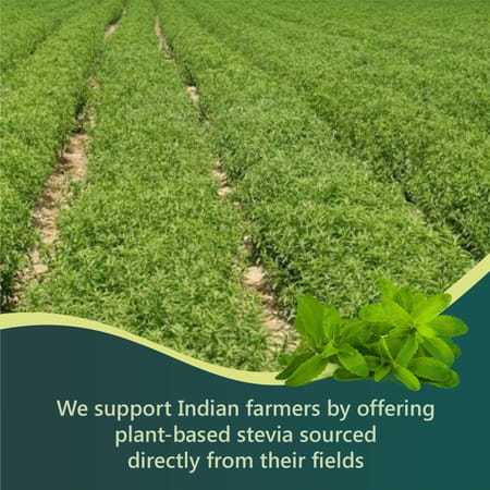 Zindagi Stevia Powder Sachets |Sugarfree Natural Stevia Extract|100 Sachets|Pack Of 1