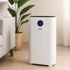 Carrier Ap 2006 Uv 1 No's