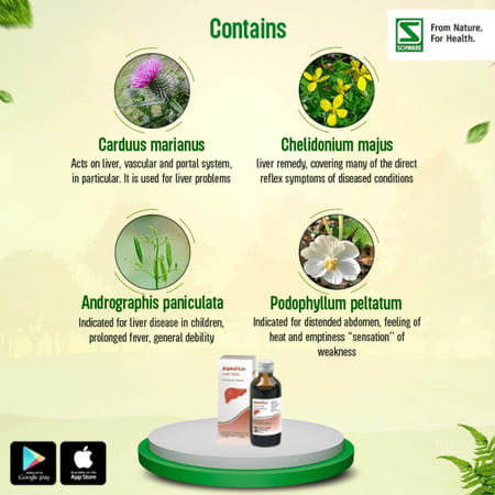 Dr. Willmar Schwabe India Alpha - Liv Syrup (100 Ml)