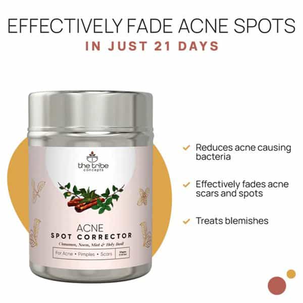 The Tribe Concepts Acne Sopt Corrector -With Steel Tin 50 Gm