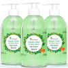 Four Seasons Neem Tulsi & Aloevera 250Ml | Deep Cleansing Ayurvedic Handwash (Pack Of 3)